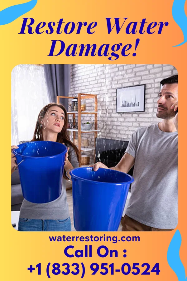 water restoration Apex Flood Damage Specialists Illinois City